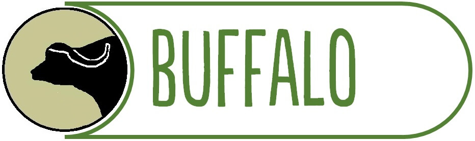 Buffalo