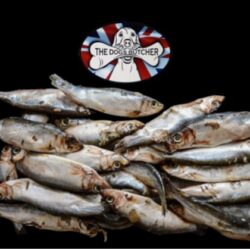 TDB Fish Oily Whole Seasonal WD 1kg